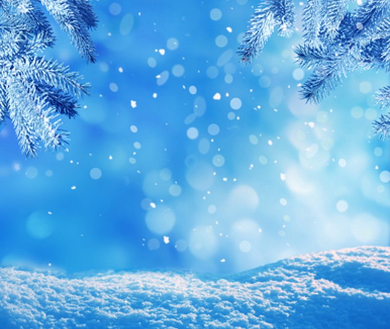 Winter’s Effects on Flooring